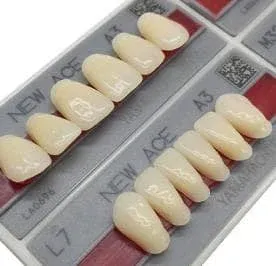 松风塑钢牙/进口